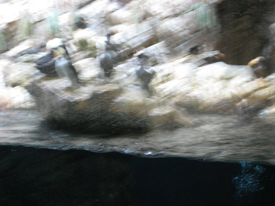 IMG 2259