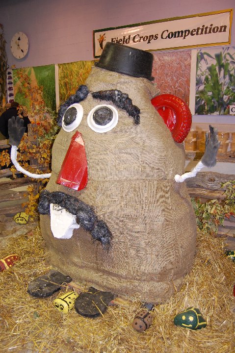 DSC 0118