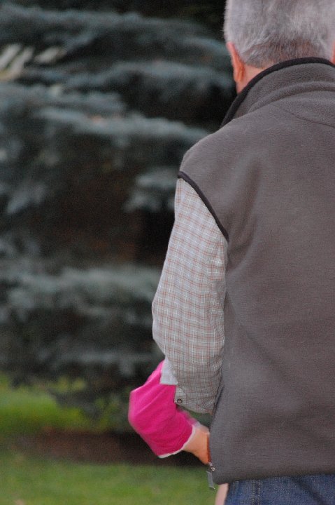 DSC 0075