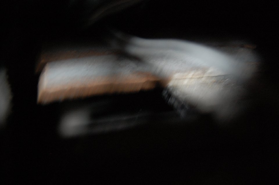 DSC 0131