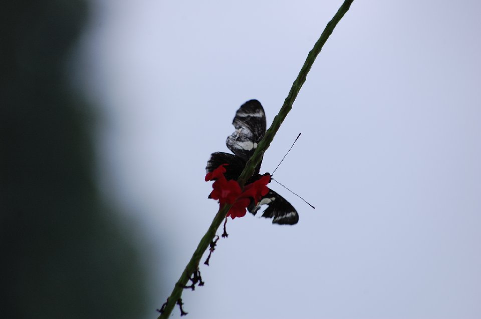 DSC 0444