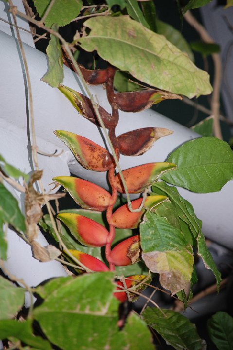 DSC 0473