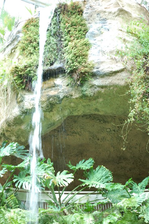 DSC 0480