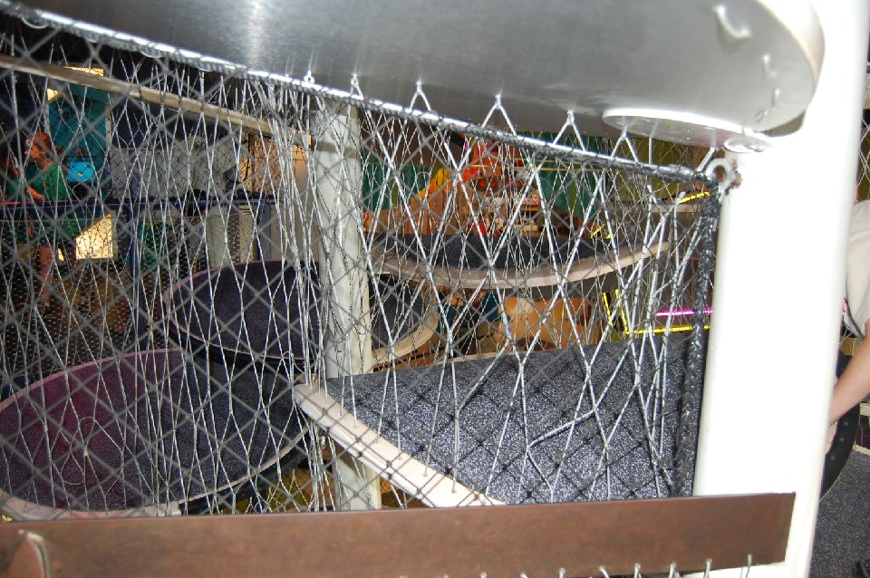 DSC 0603