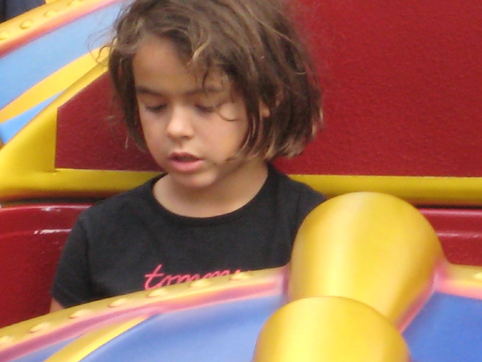 IMG 2445