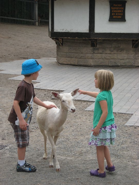 IMG 2554