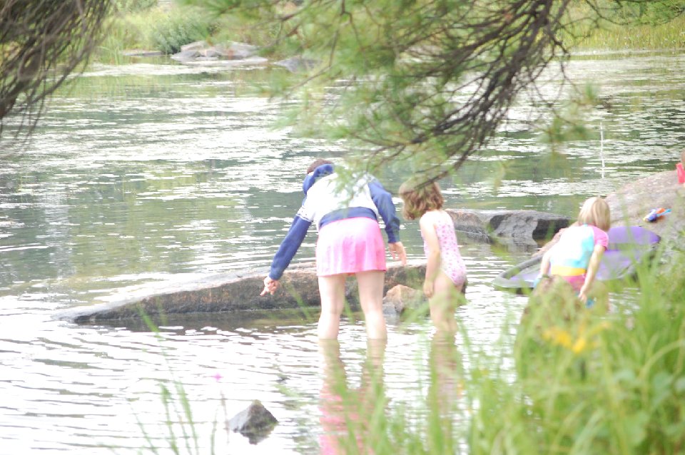 DSC 0085