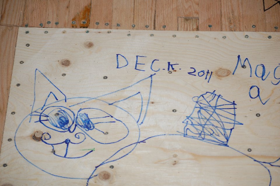 DSC 0041