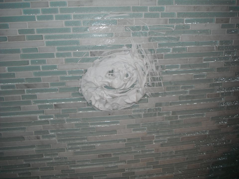 DSCF0091