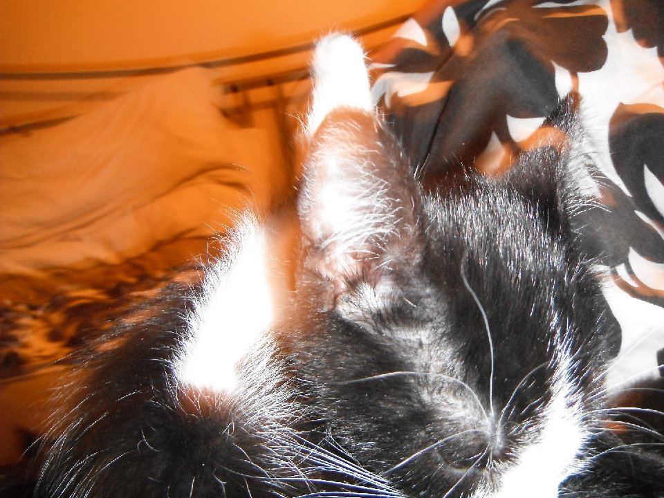DSCF0138