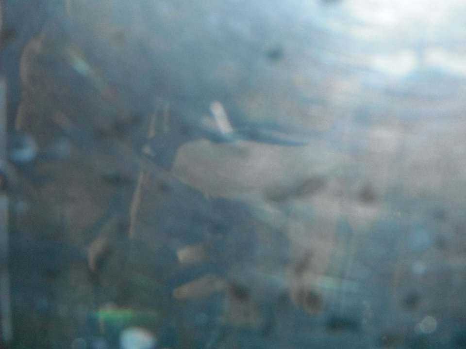 DSCF0148