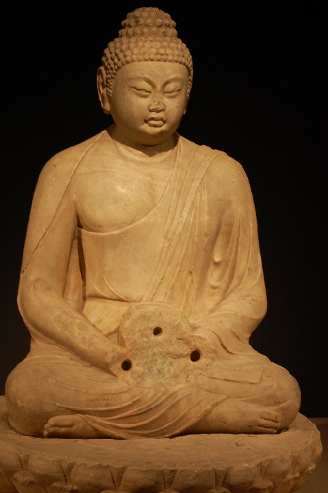 DSC 0508