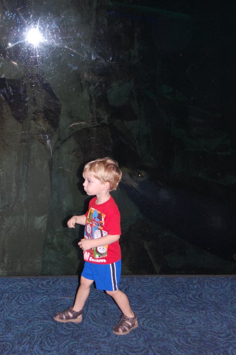 DSC 0565