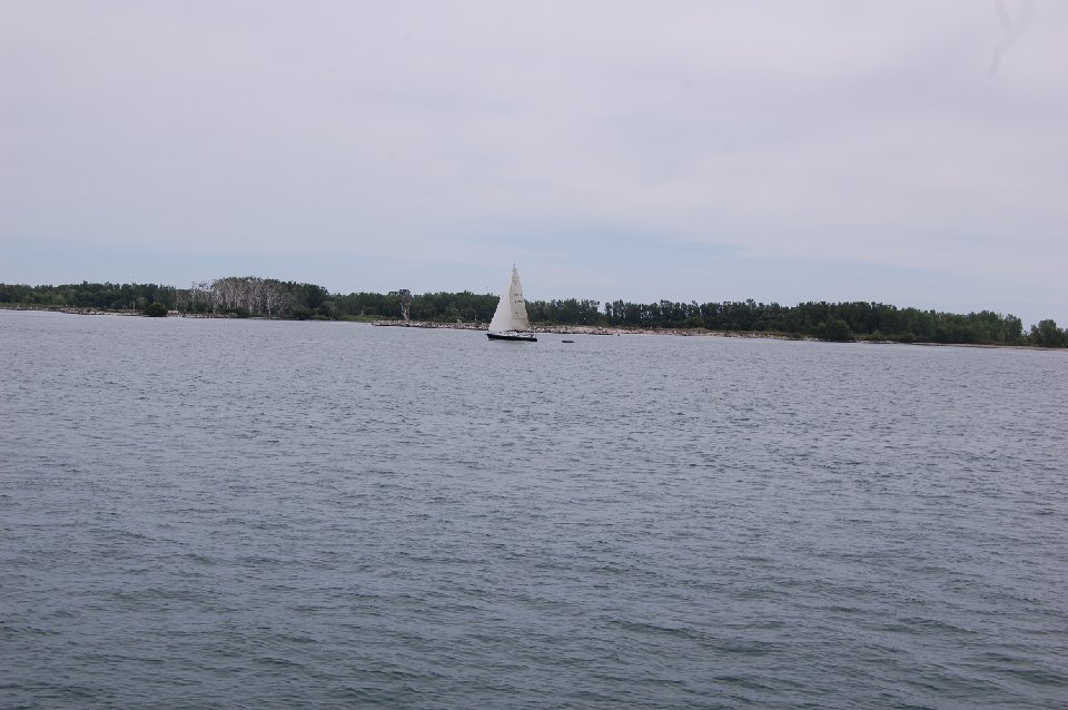 DSC 0995