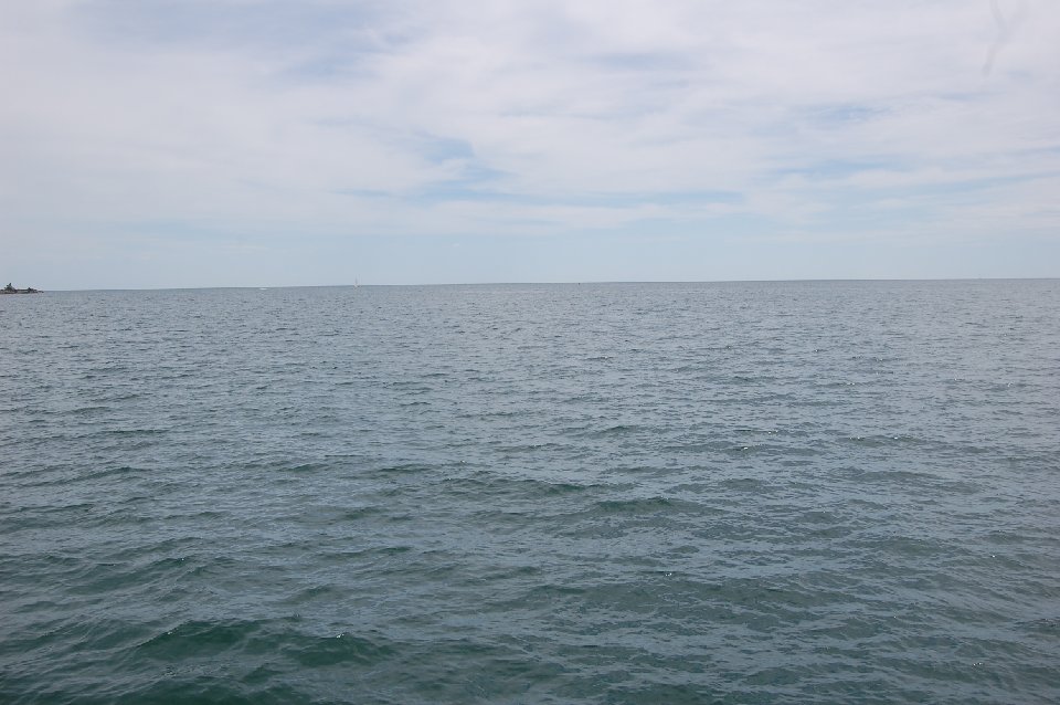 DSC 1019