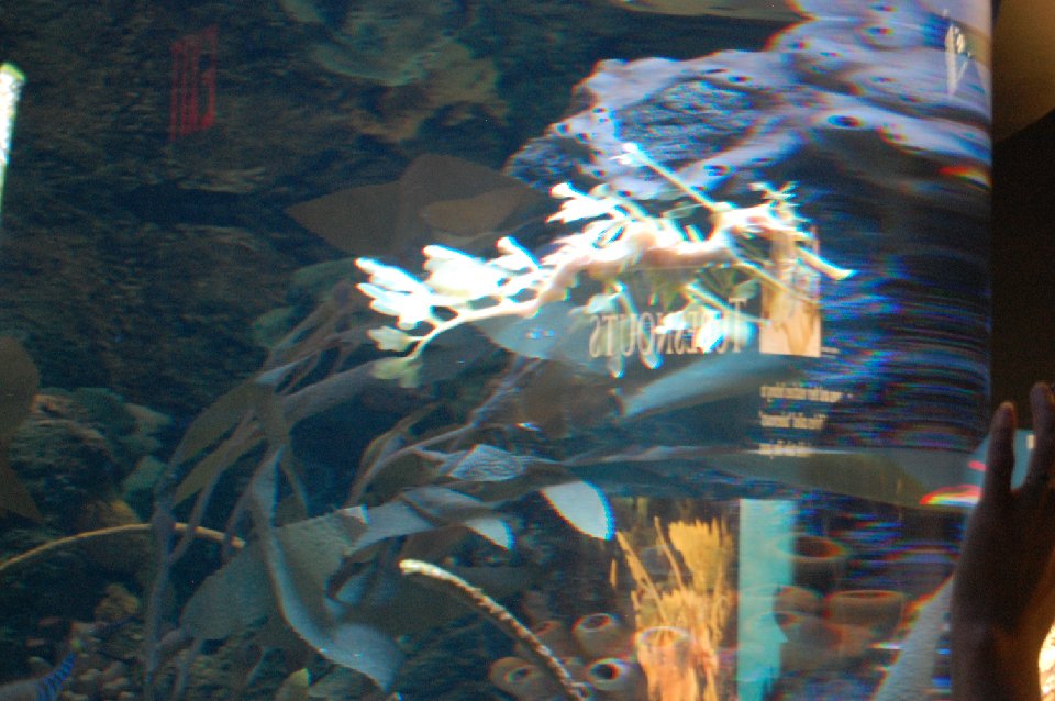 DSC 0296