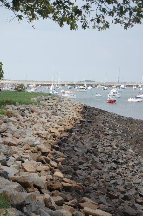 DSC 0304