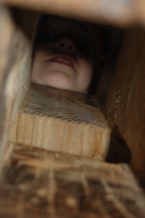 DSC 0326