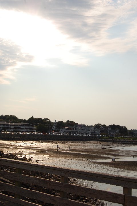 DSC 0350