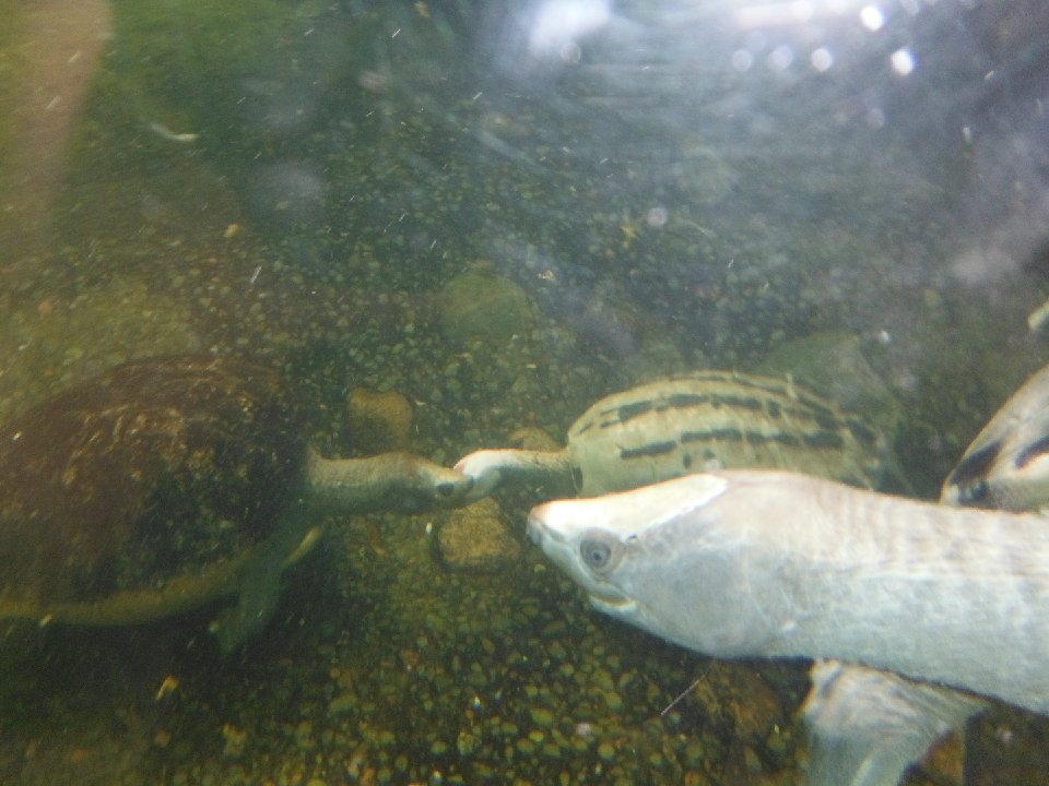 DSCF0189