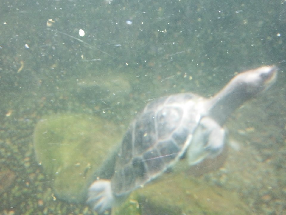 DSCF0193