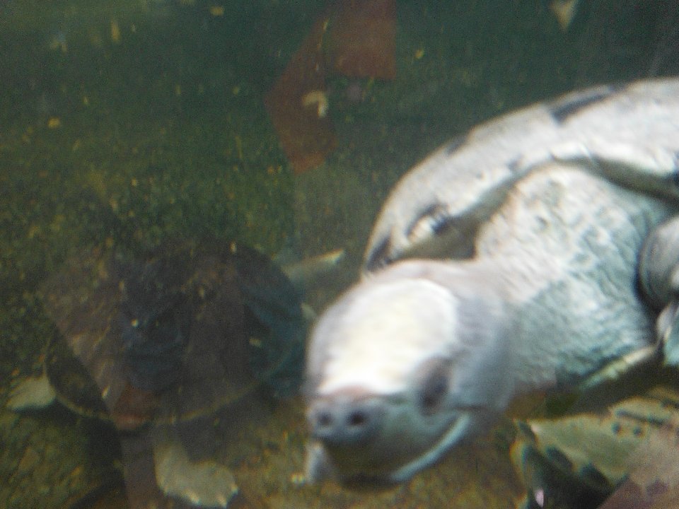 DSCF0198
