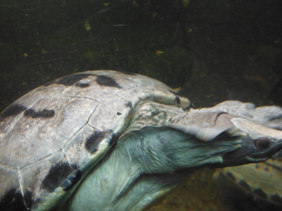 DSCF0199