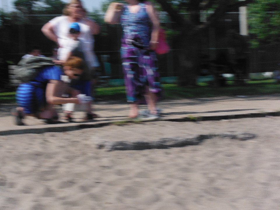 P 0117