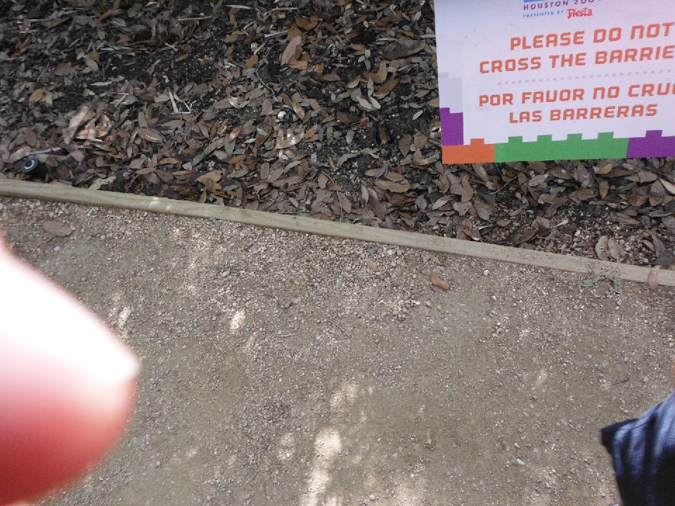 P 0318