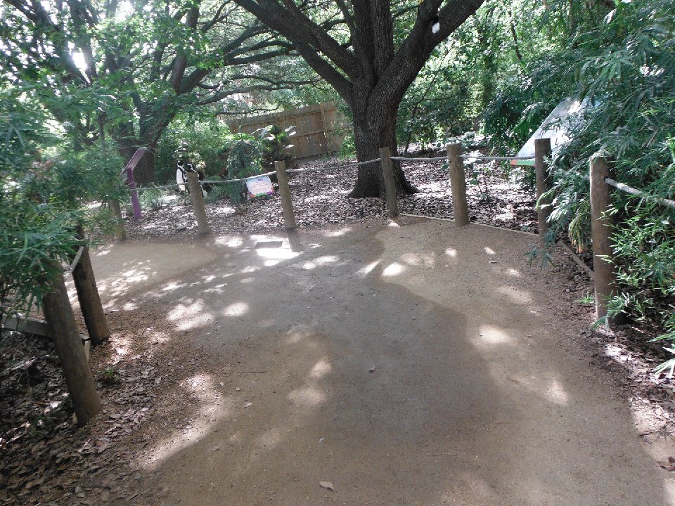 P 0320