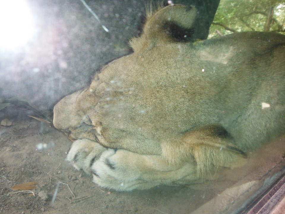 P 0327
