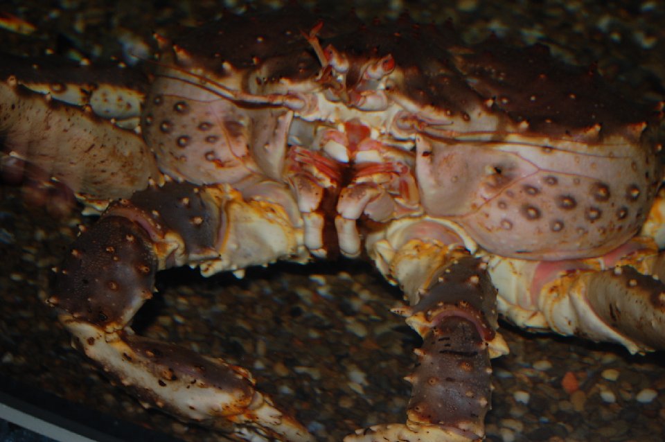 DSC 0012