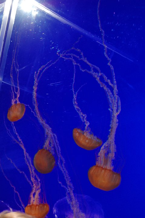 DSC 0118