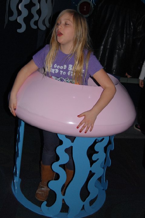 DSC 0125