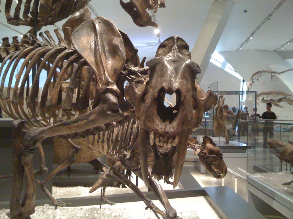 PH 0037