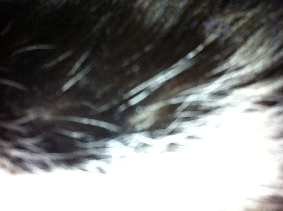 PICT 0078