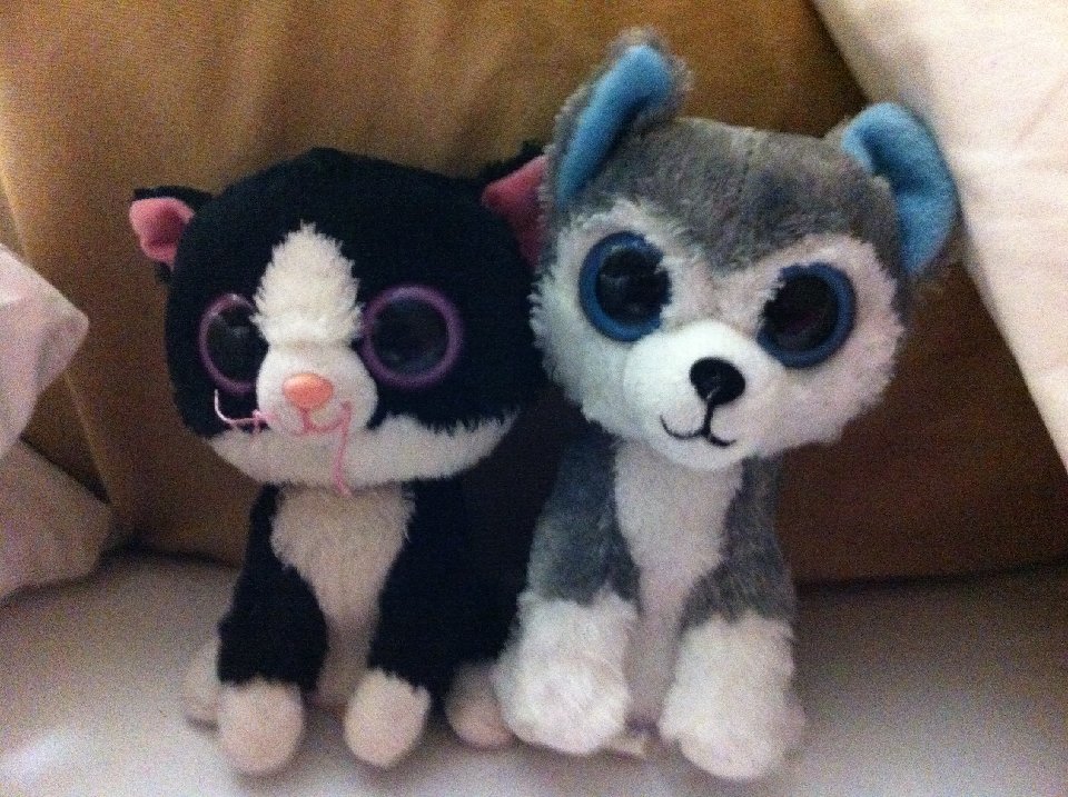 PICT 0121