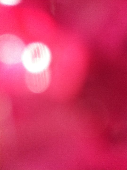 PICT 0237