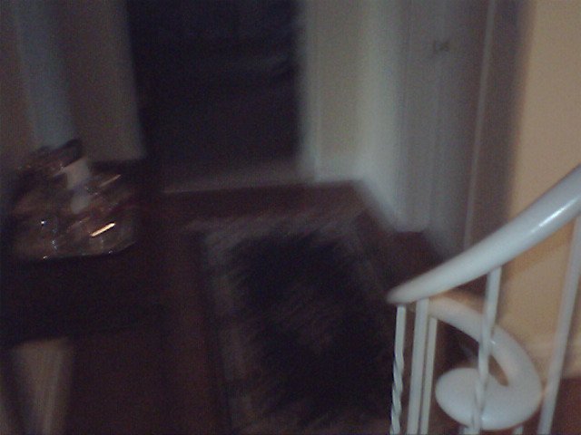 IMG 0001