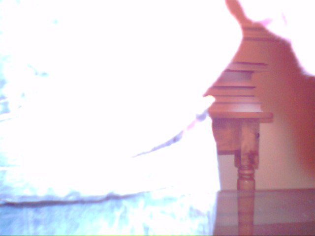 IMG 0022