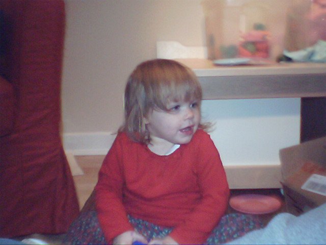 IMG 0051