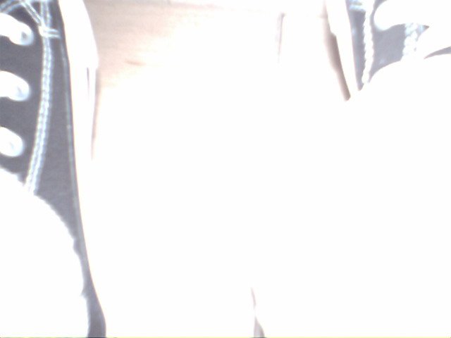 IMG 0075