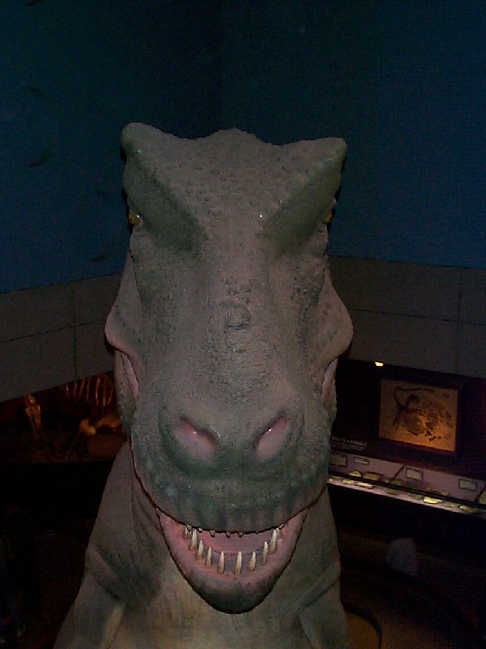 DCP00596
