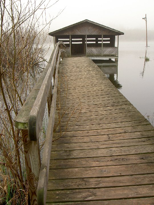 PICT0028