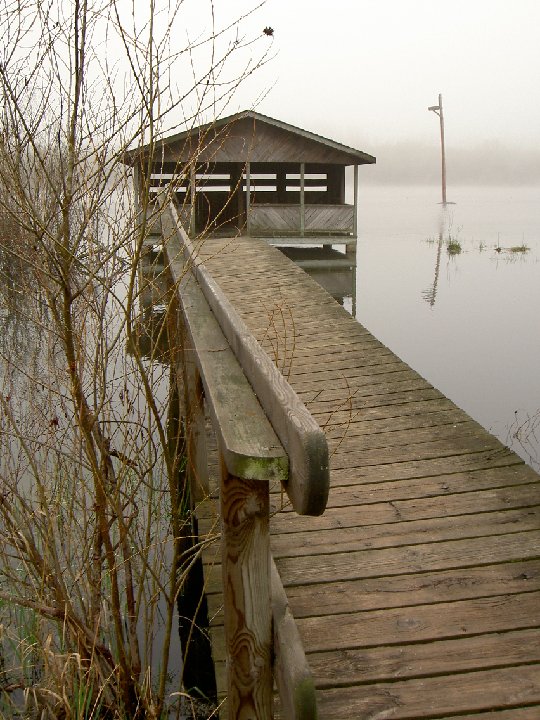 PICT0029