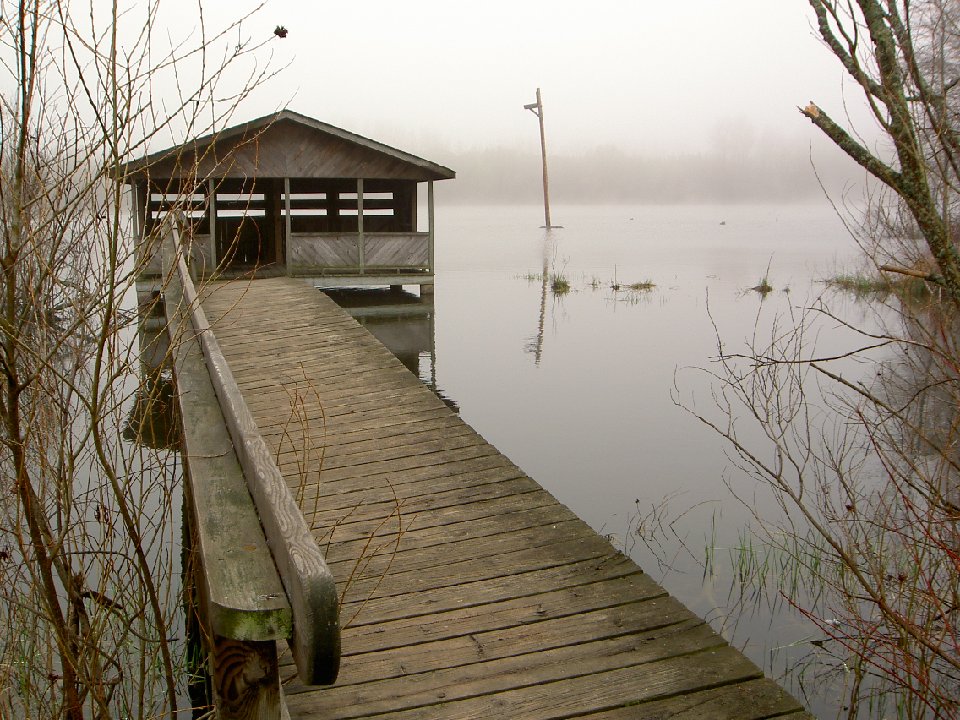 PICT0030