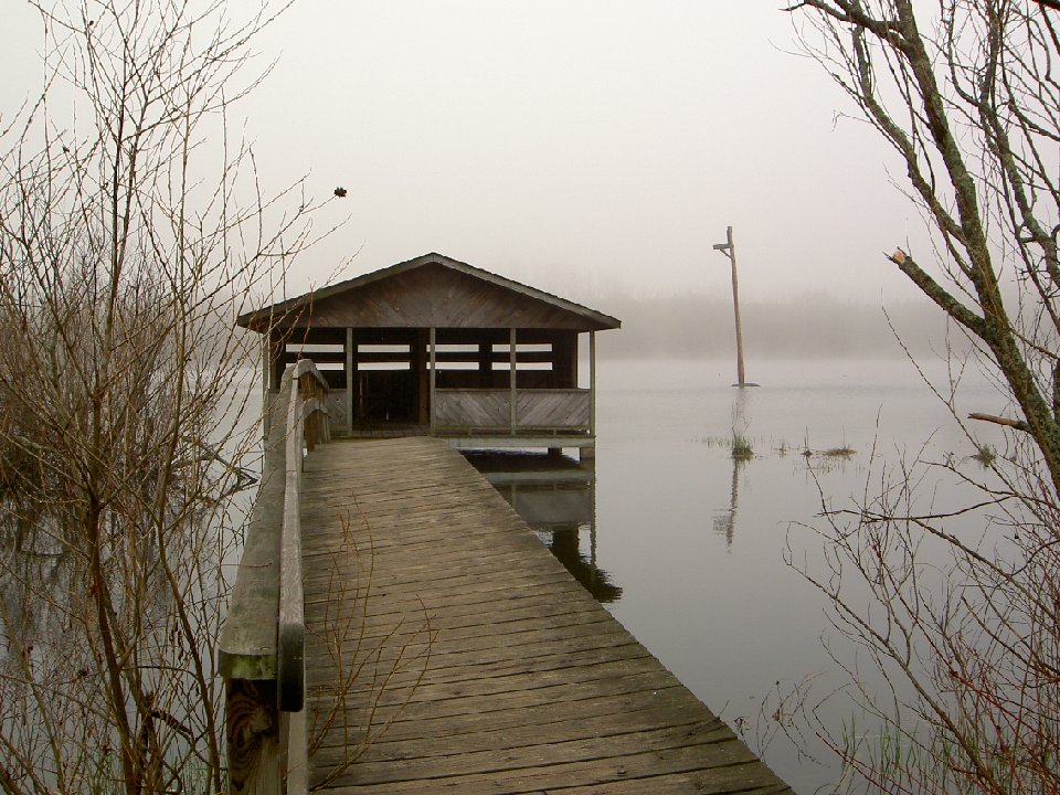 PICT0032