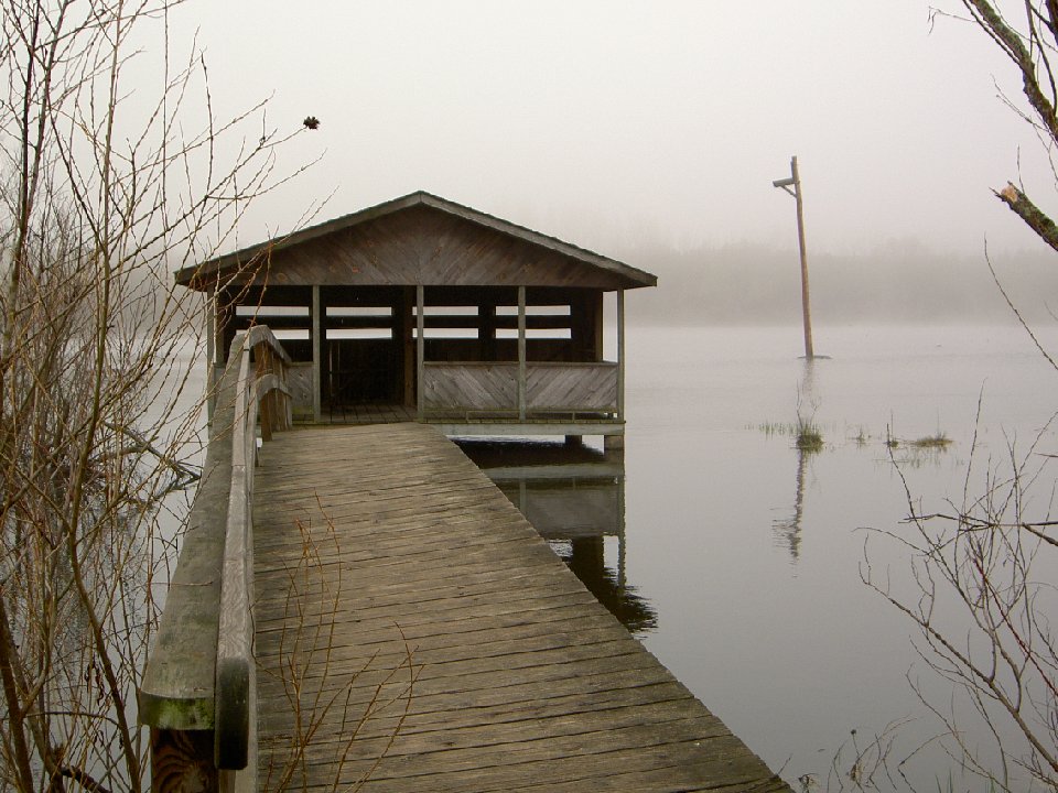 PICT0033