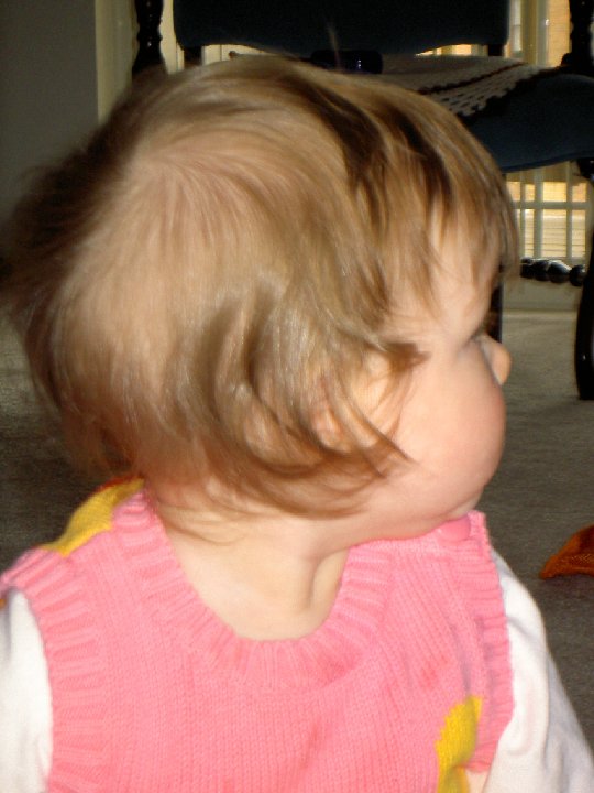 PICT0100