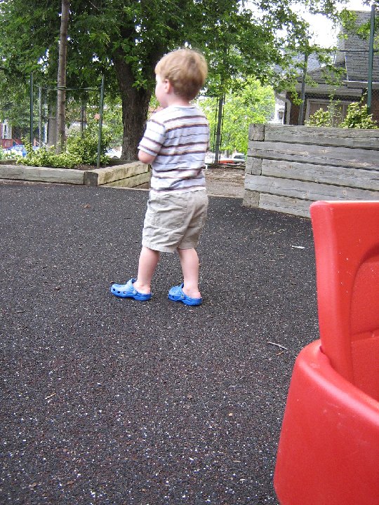 IMG 0080